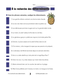 À la recherche des déterminants