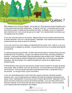 Connais-tu bien les ours du Québec ?