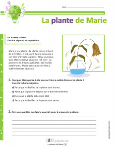 La plante de Marie