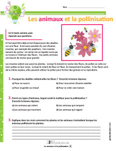 Les animaux et la pollinisation