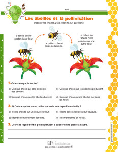 Les abeilles et la pollinisation