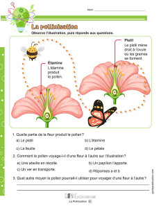 La pollinisation