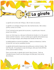 La girafe