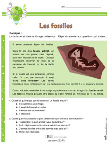 Les fossiles