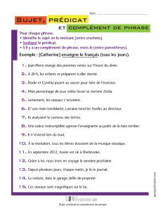 Sujet, prédicat et complément de phrase