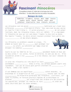 Fascinant rhinocéros