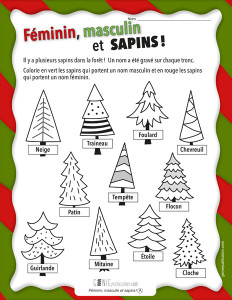 Féminin, masculin et sapins !
