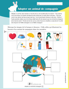 Adopter un animal de compagnie