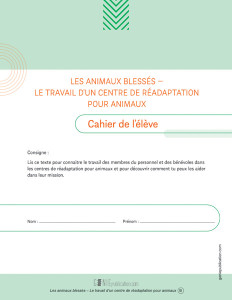 Les animaux blessés – Le travail d’un centre de réadaptation pour animaux