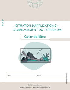 Situation d’application 2 - L’aménagement du terrarium