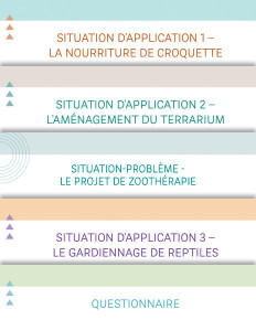 Pratique de l’épreuve ministérielle de mathématique de la fin du 3e cycle du primaire