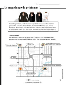 Le magasinage du printemps !