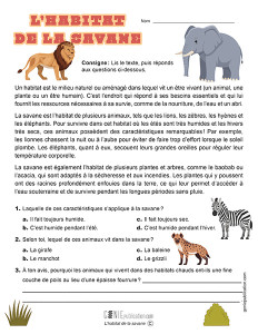 L’habitat de la savane
