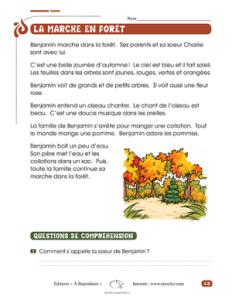 La marche en forêt