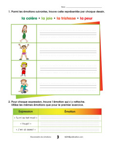 Reconnaitre les émotions