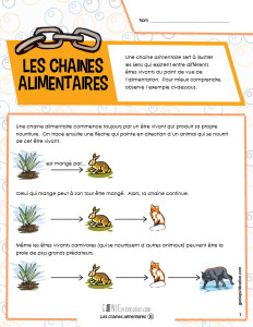 Les chaines alimentaires