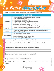 La fiche descriptive