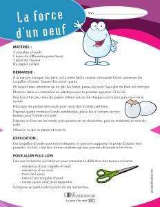 La force d'un oeuf
