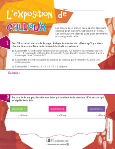 L'exposition de cailloux