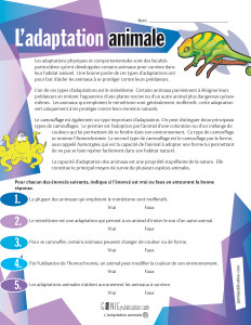 L'adaptation animale