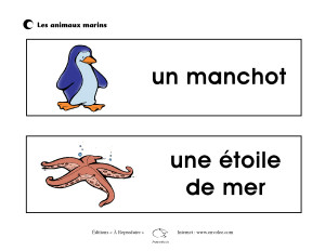 Affiches des animaux marins