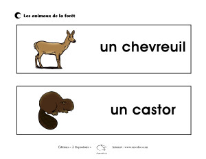 Affiches des animaux de la forêt