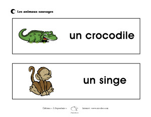 Affiches des animaux sauvages