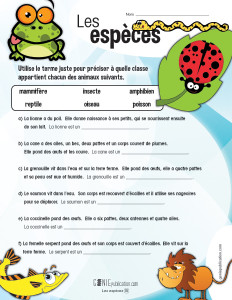 Les espèces