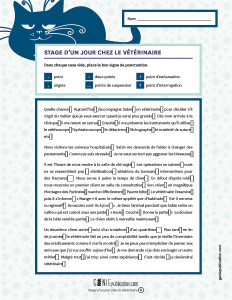 Stage d'un jour chez le vétérinaire