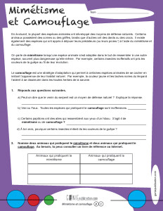 Mimétisme et camouflage