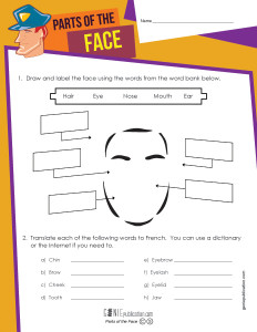 Parts of the Face