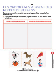 Les mammifères peuvent-ils pondre des œufs ?