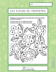 Les fleurs du printemps