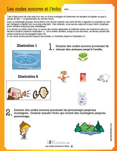 Les ondes sonores et l'écho