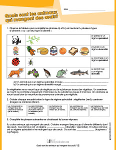 Quels sont les animaux qui mangent des œufs ?