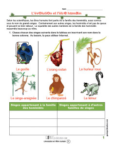 L'évolution et l'être humain