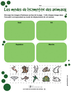 Le mode de locomotion des animaux