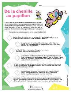De la chenille au papillon
