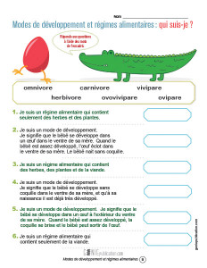 Modes de développement et régimes alimentaires : qui suis-je ?