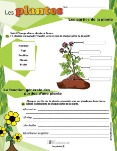 Les plantes
