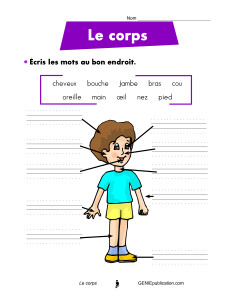 Le corps humain