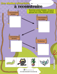 Une chaine alimentaire à reconstruire