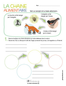 La chaine alimentaire