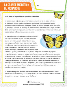 La grande migration du monarque