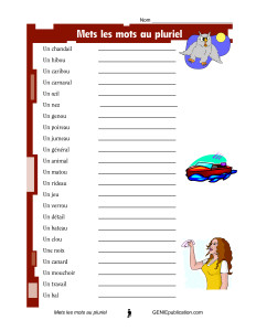 Mets les mots au pluriel