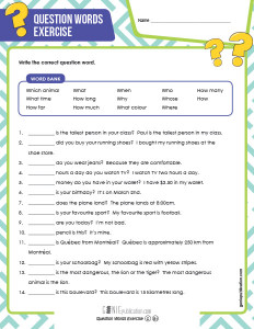 Question Words Exercice