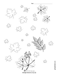 Coloriage d'automne – 2