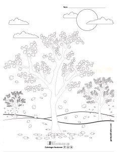 Coloriage d'automne – 3