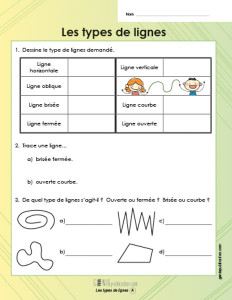 Les types de lignes