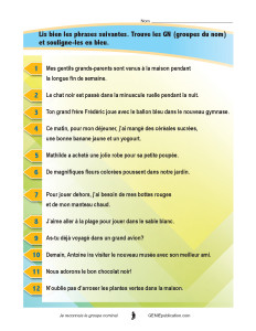 Je reconnais le groupe nominal